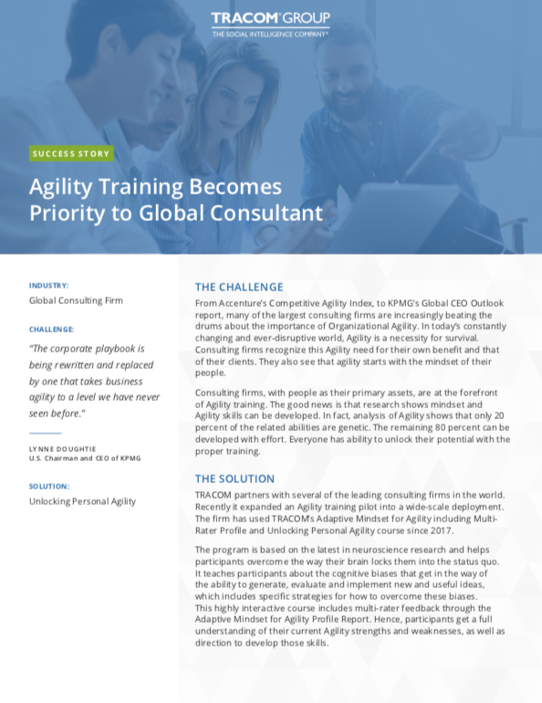 Global Consultant Agility success story
